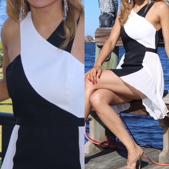 ❌🚫SOLD❌🚫BCBG Delilah Dress Size 0 - Picture 4 of 4